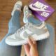 Dunk Cinza